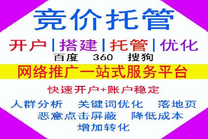 SEM公司案例研究：数据驱动营销策略